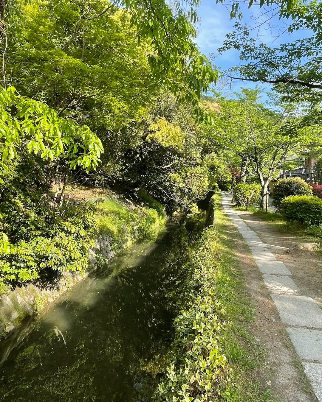 Philosopher's Path
