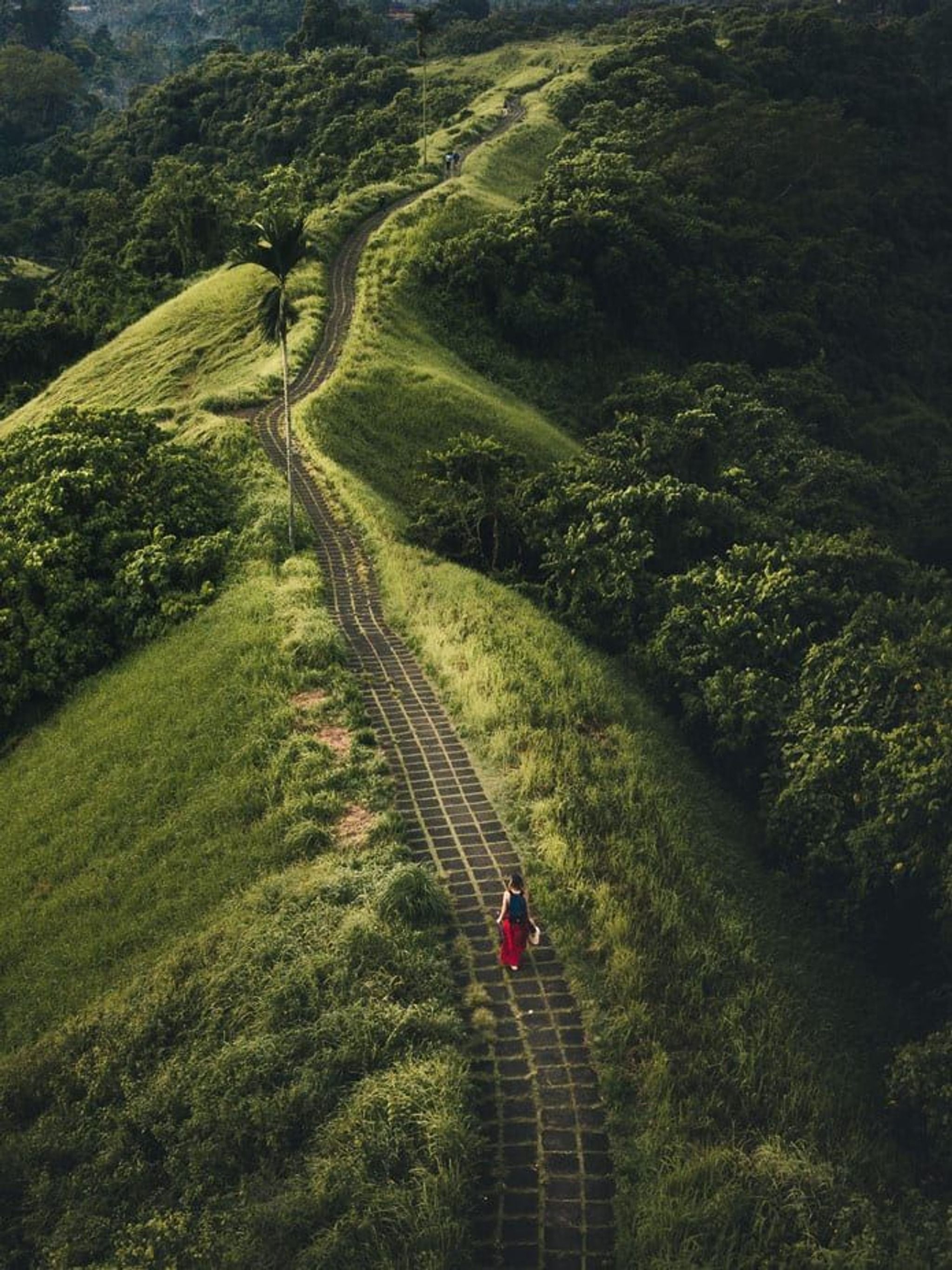 Campuhan Ridge Walk
