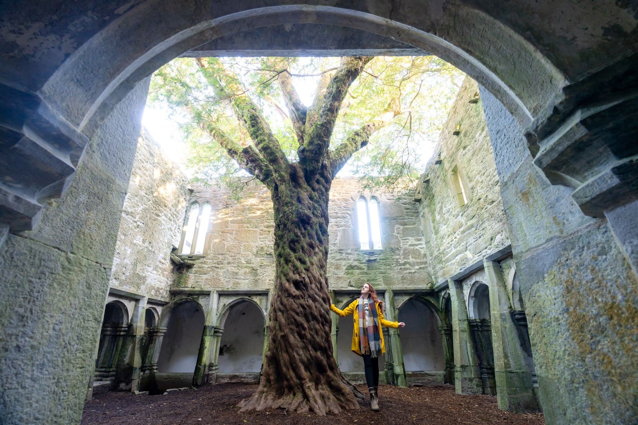 Muckross Abbey