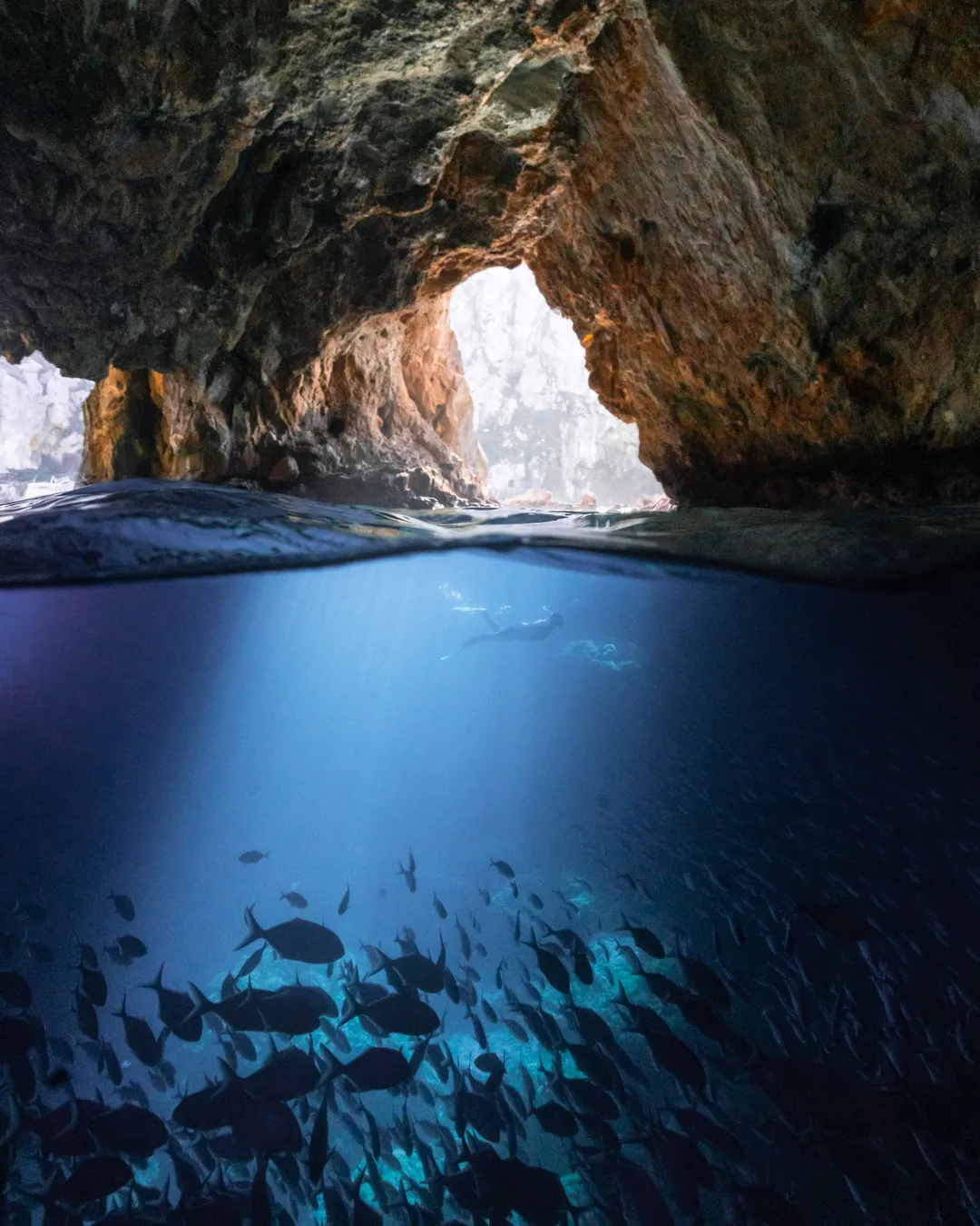 Poor Knights Islands Northland