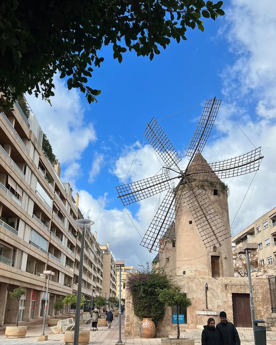 Santa Catalina