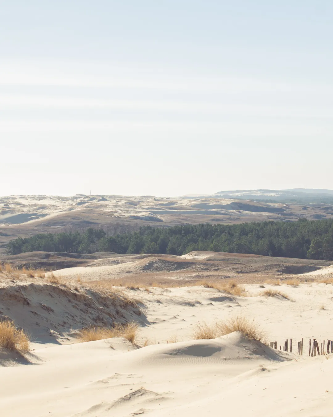 Desert in Lithuania