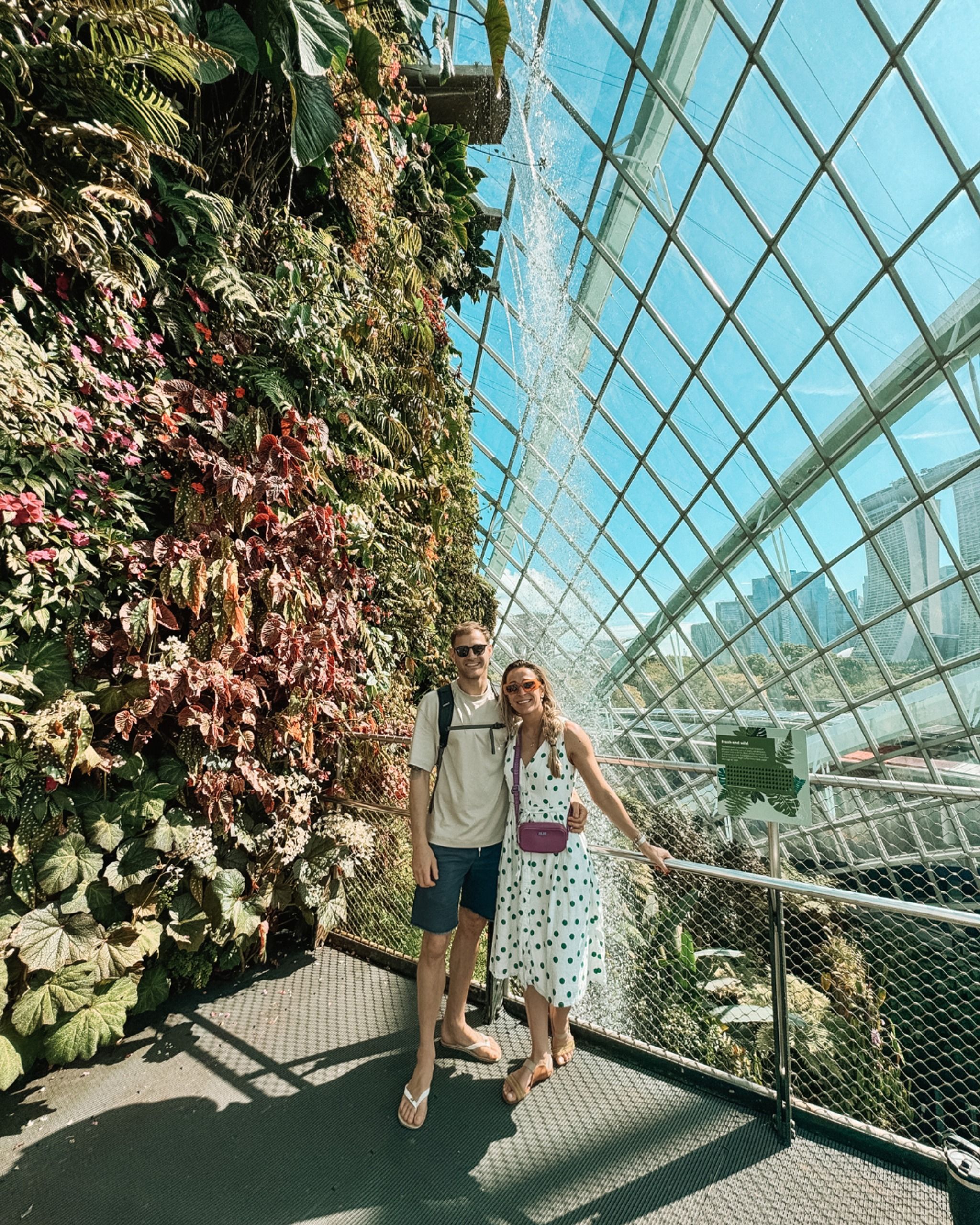 Cloud Forest