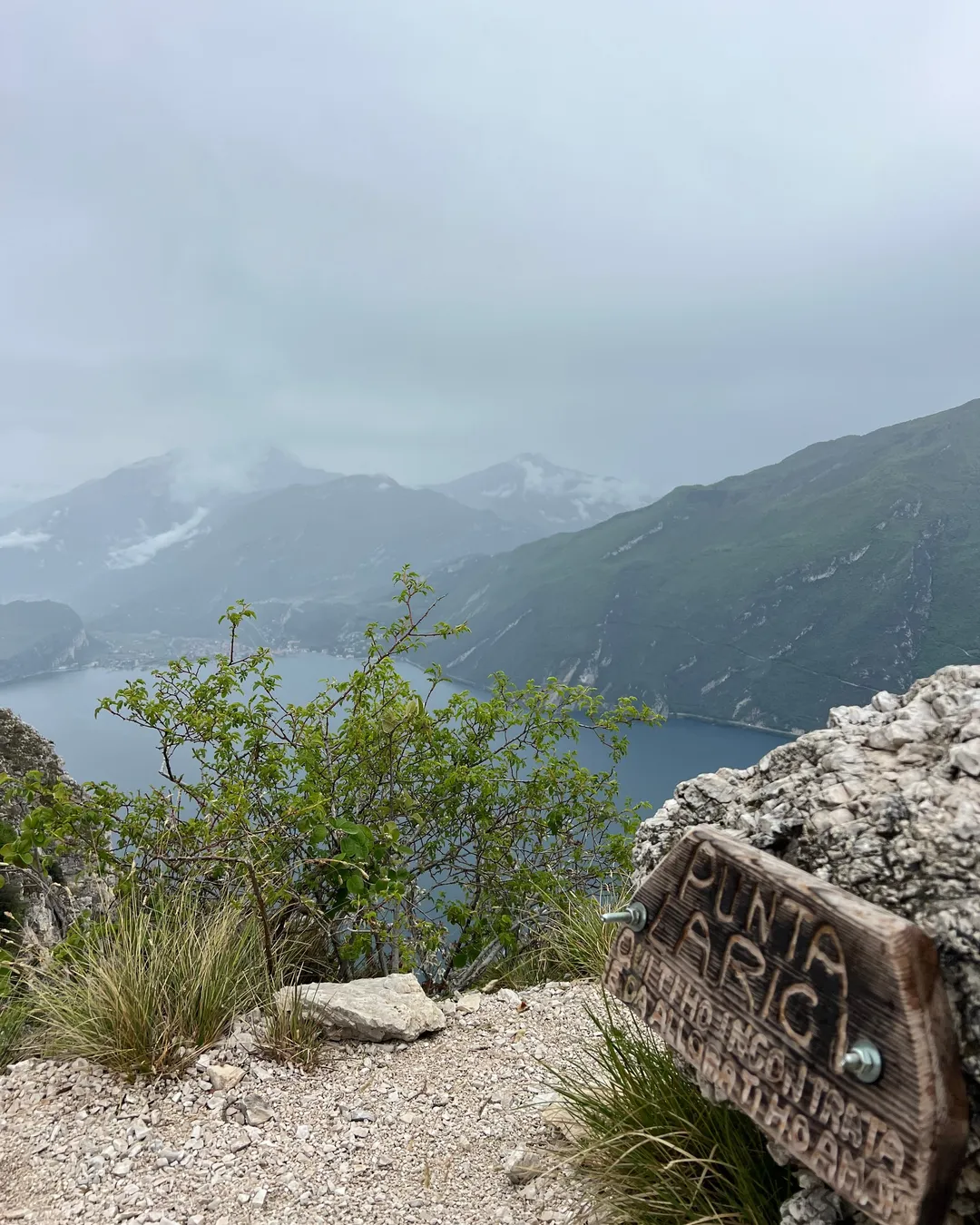 Punta Larici