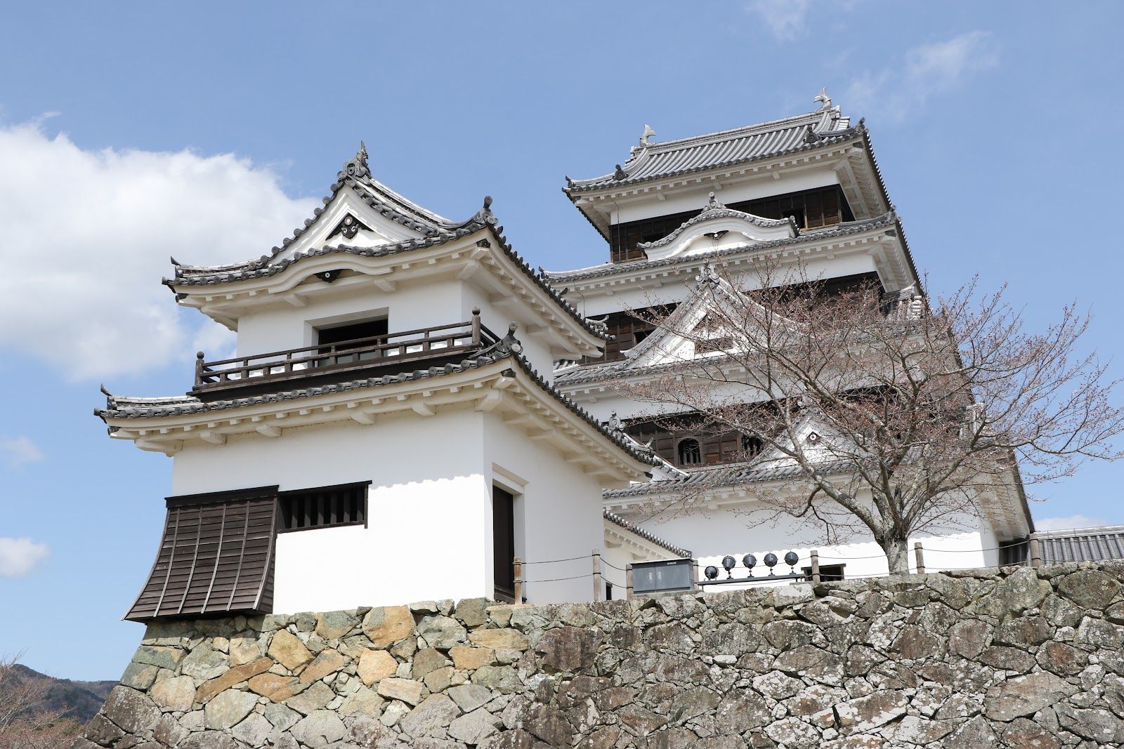 大洲城