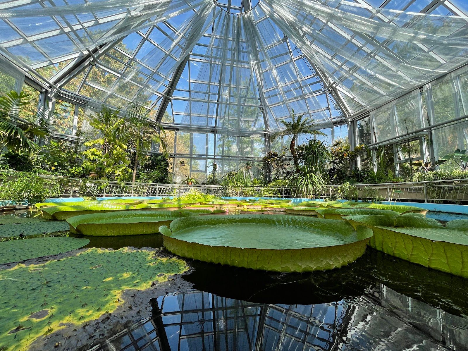 Alexandru Borza Botanical Garden
