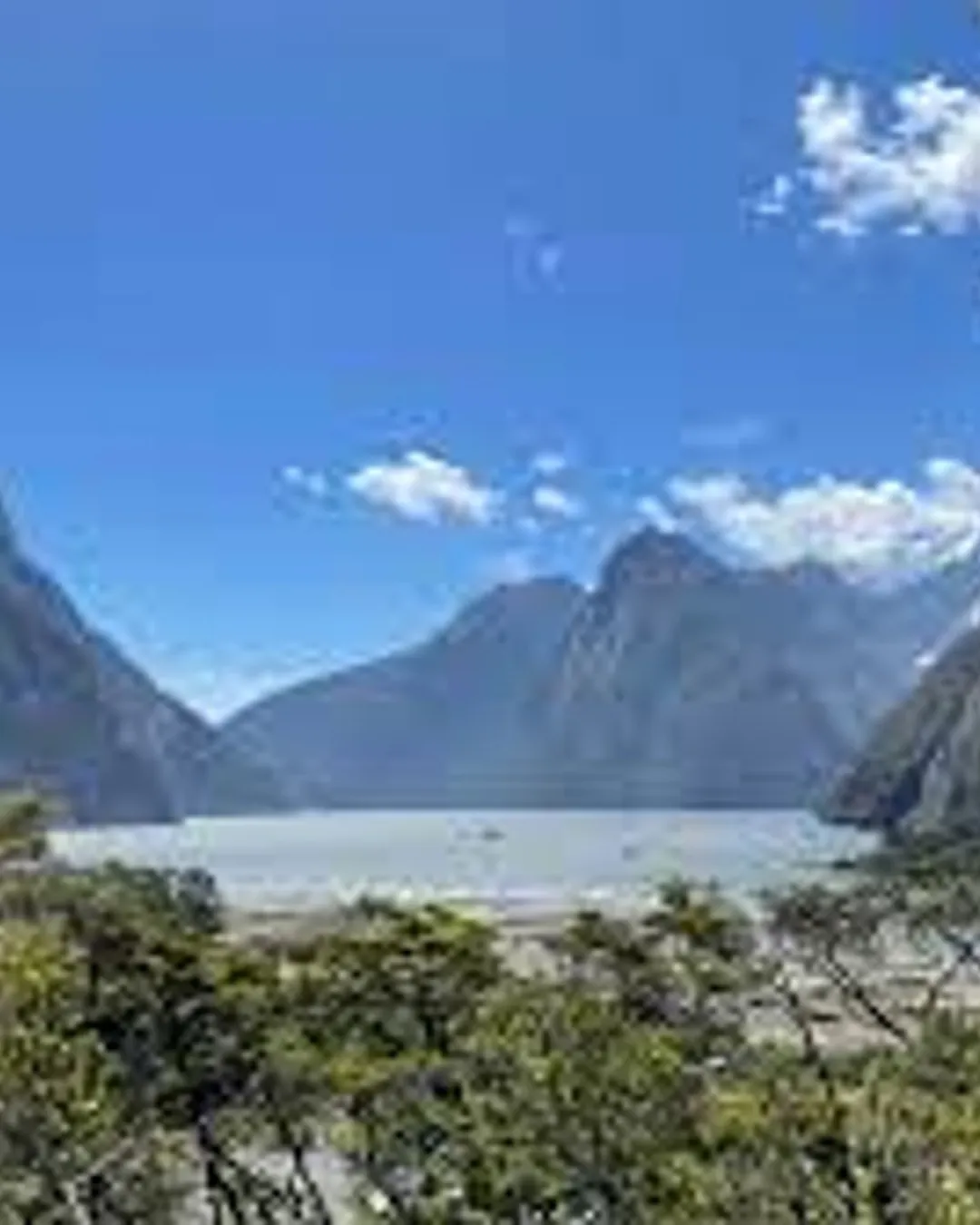 Milford Sound Lookout Track