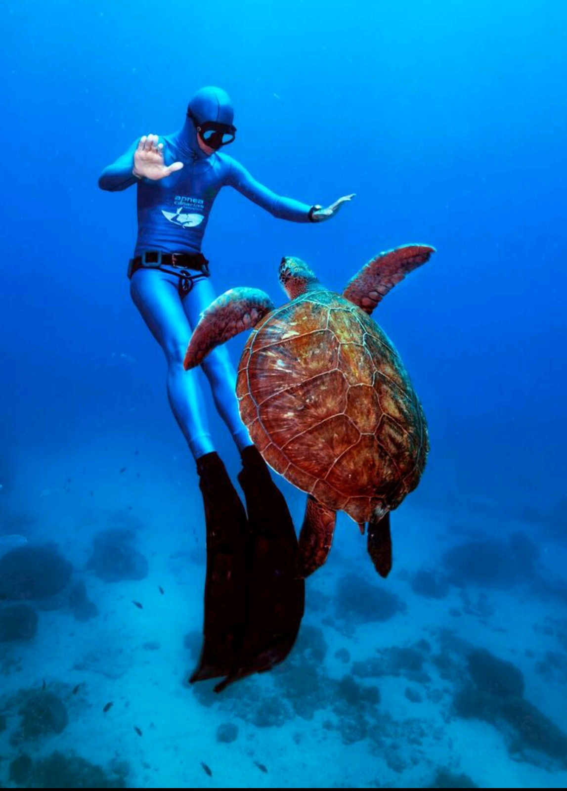 Apnea Canarias Tenerife, Freediving Center