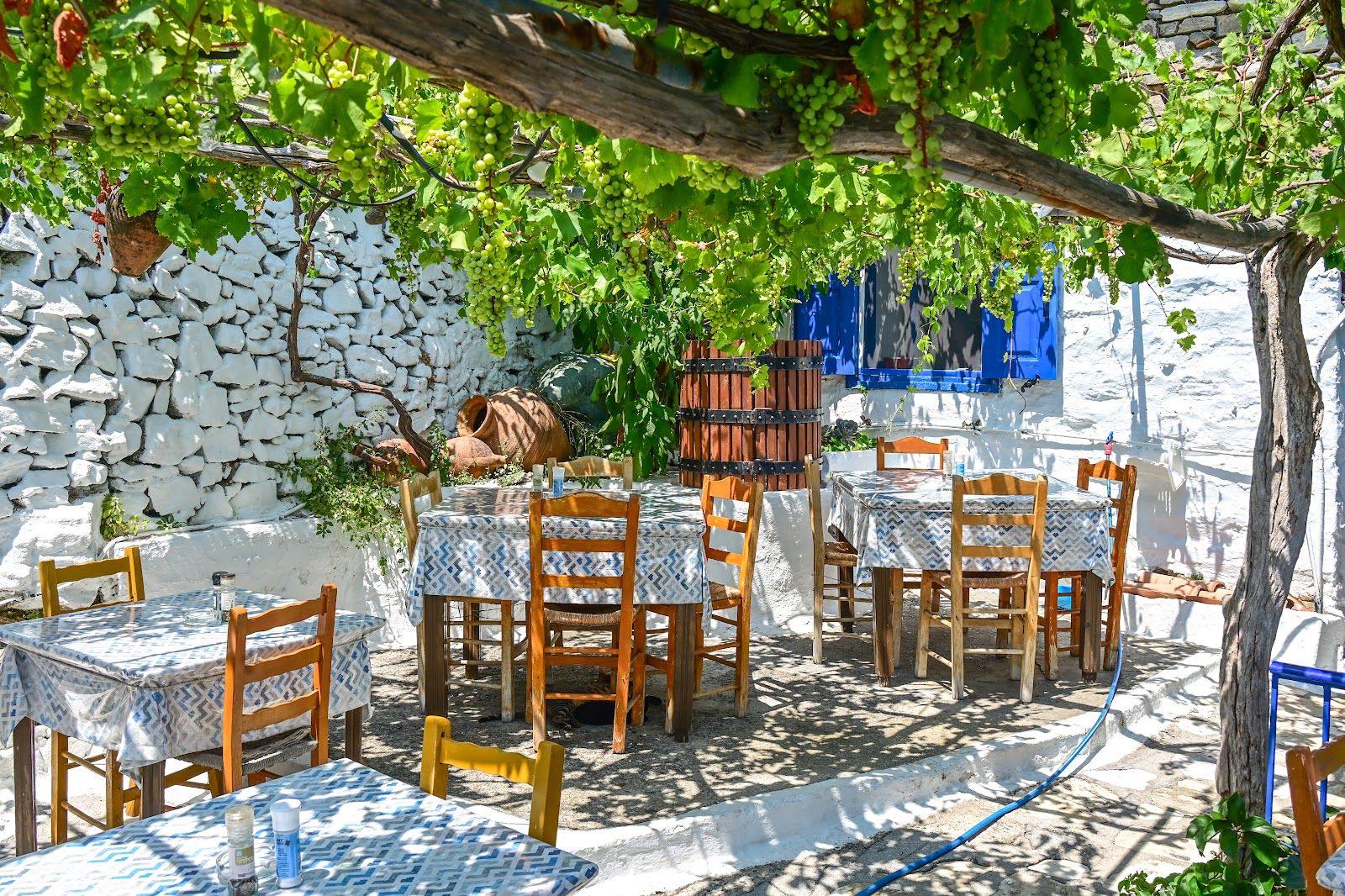 Loukas Taverna