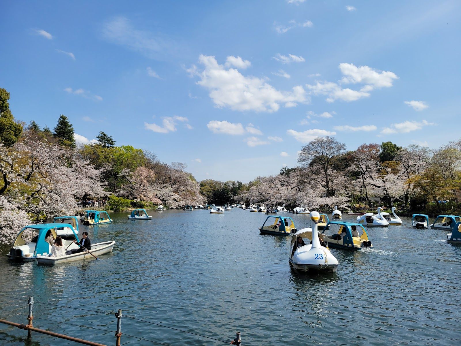 Inokashira Park