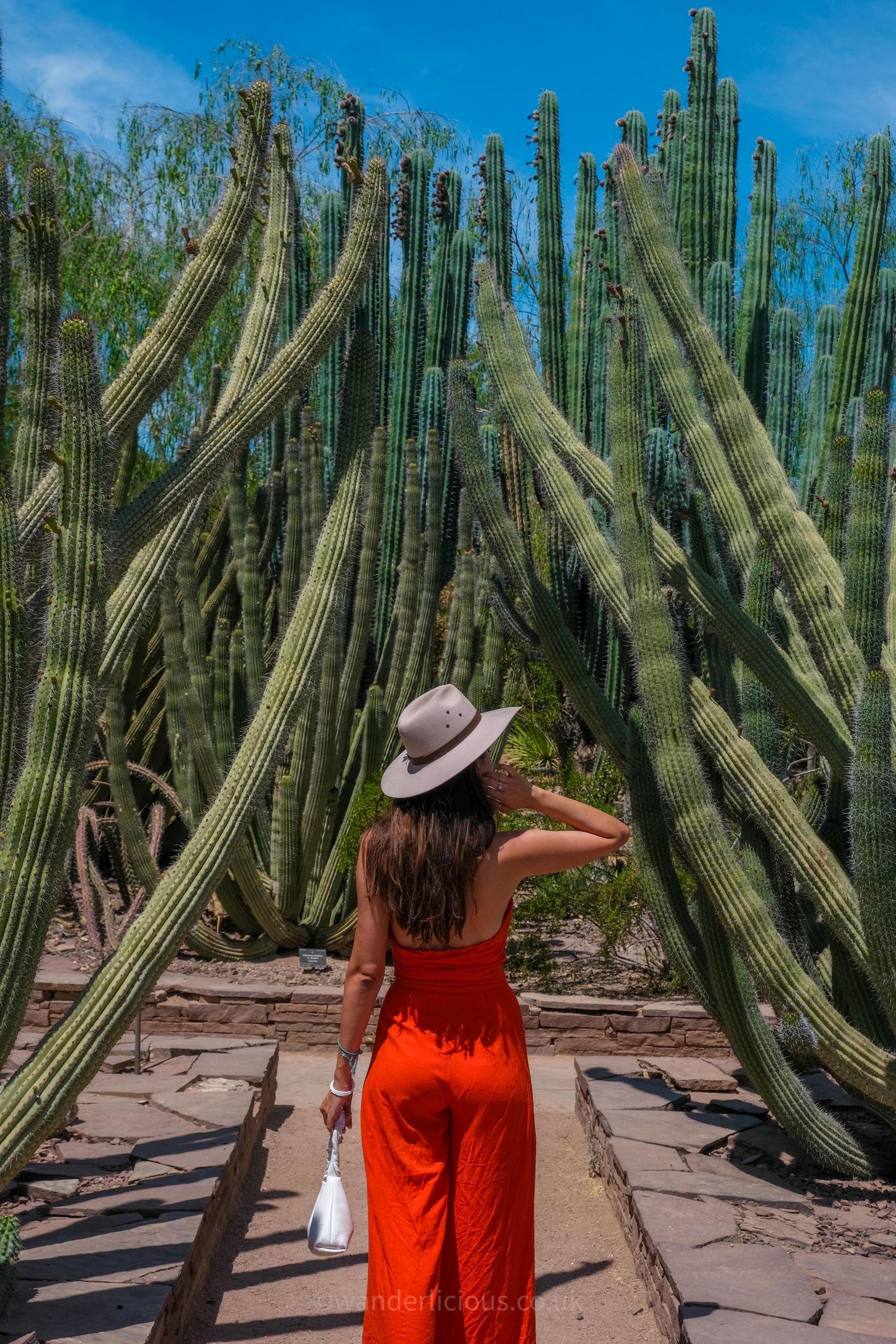 Desert Botanical Garden