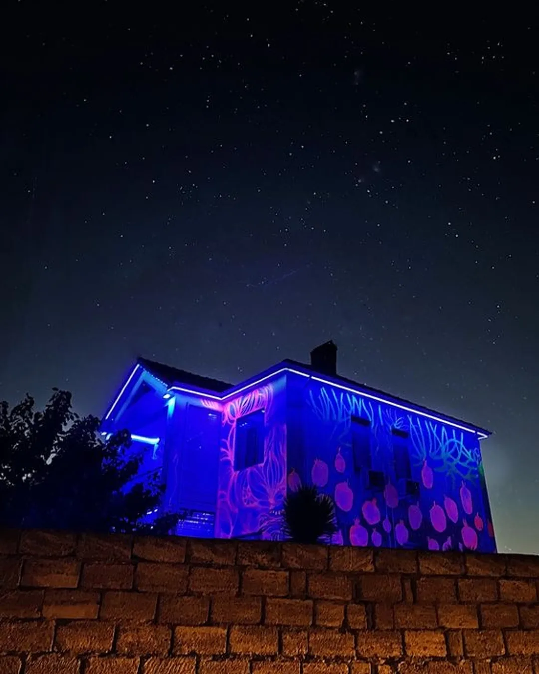 Farhouse Neon Museum 