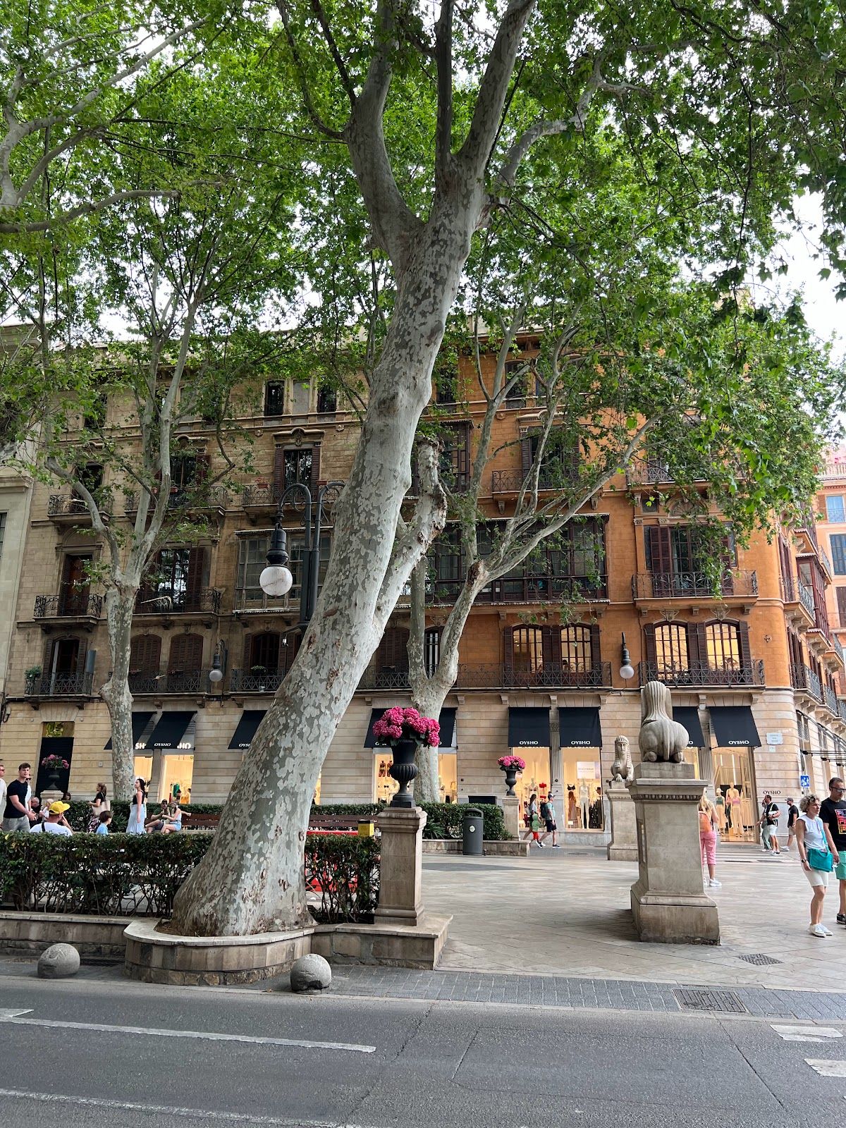 Plaça de la Reina