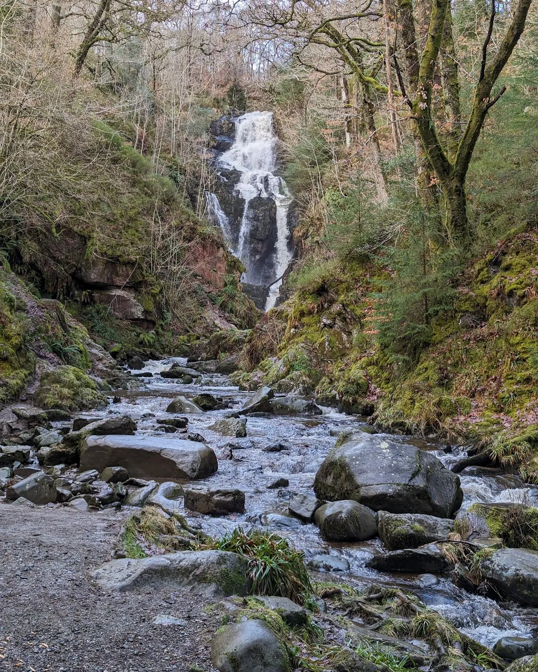 Queen Elizabeth Forest Park