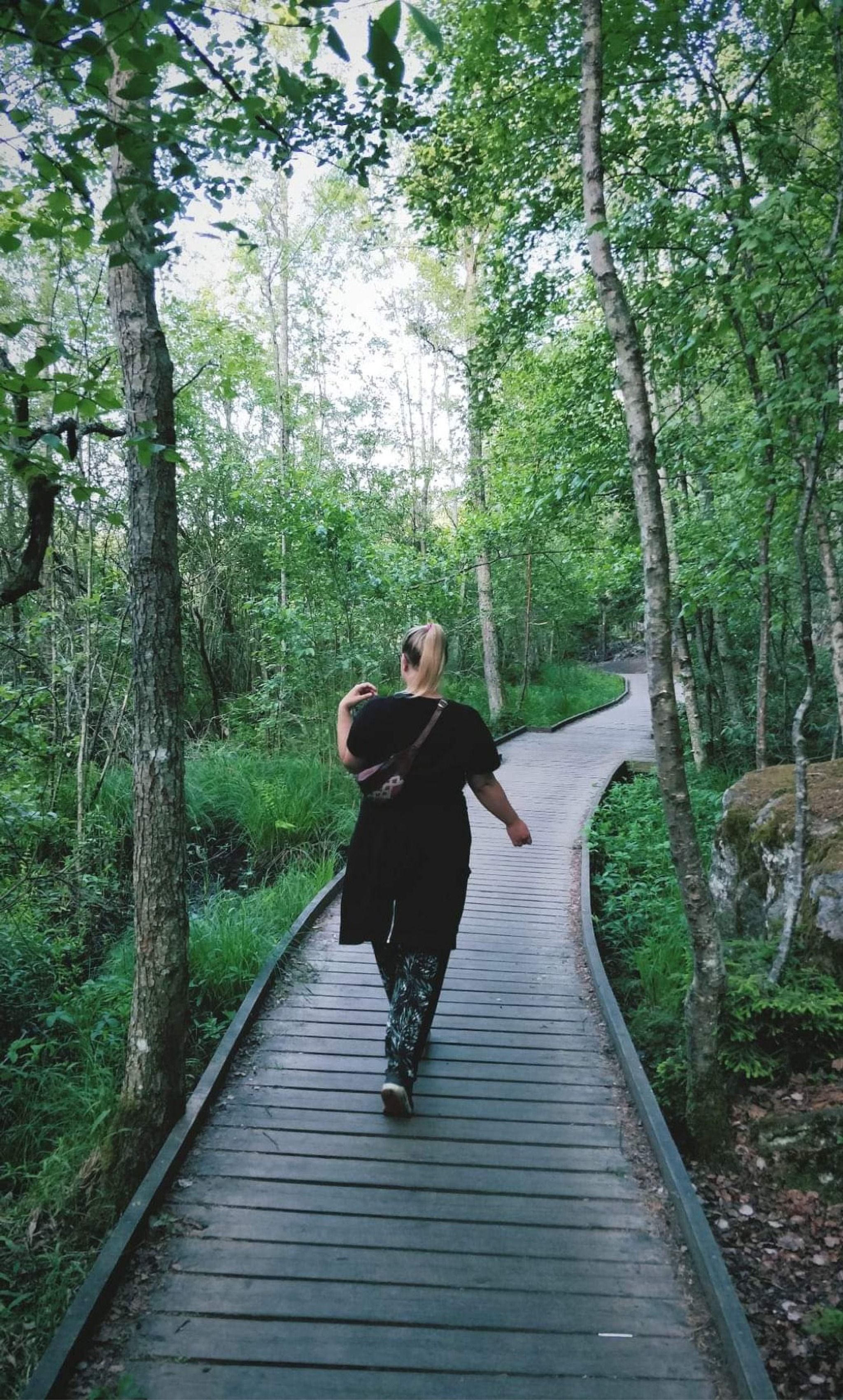 Judarskogen Nature Preserve