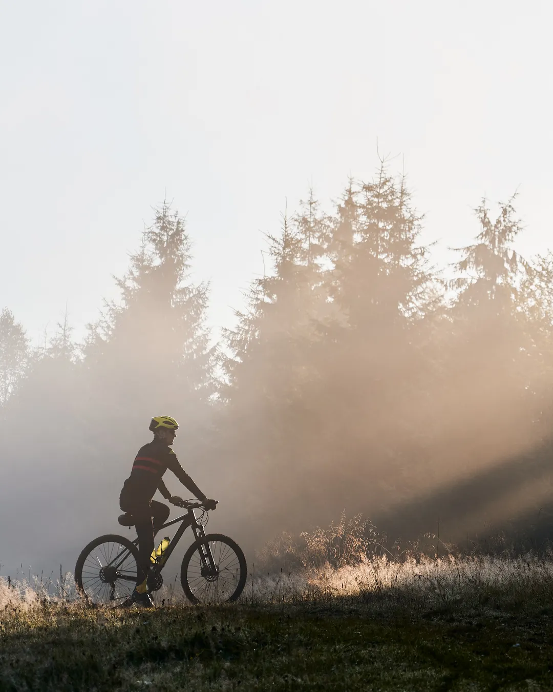 Bicycle Adventure