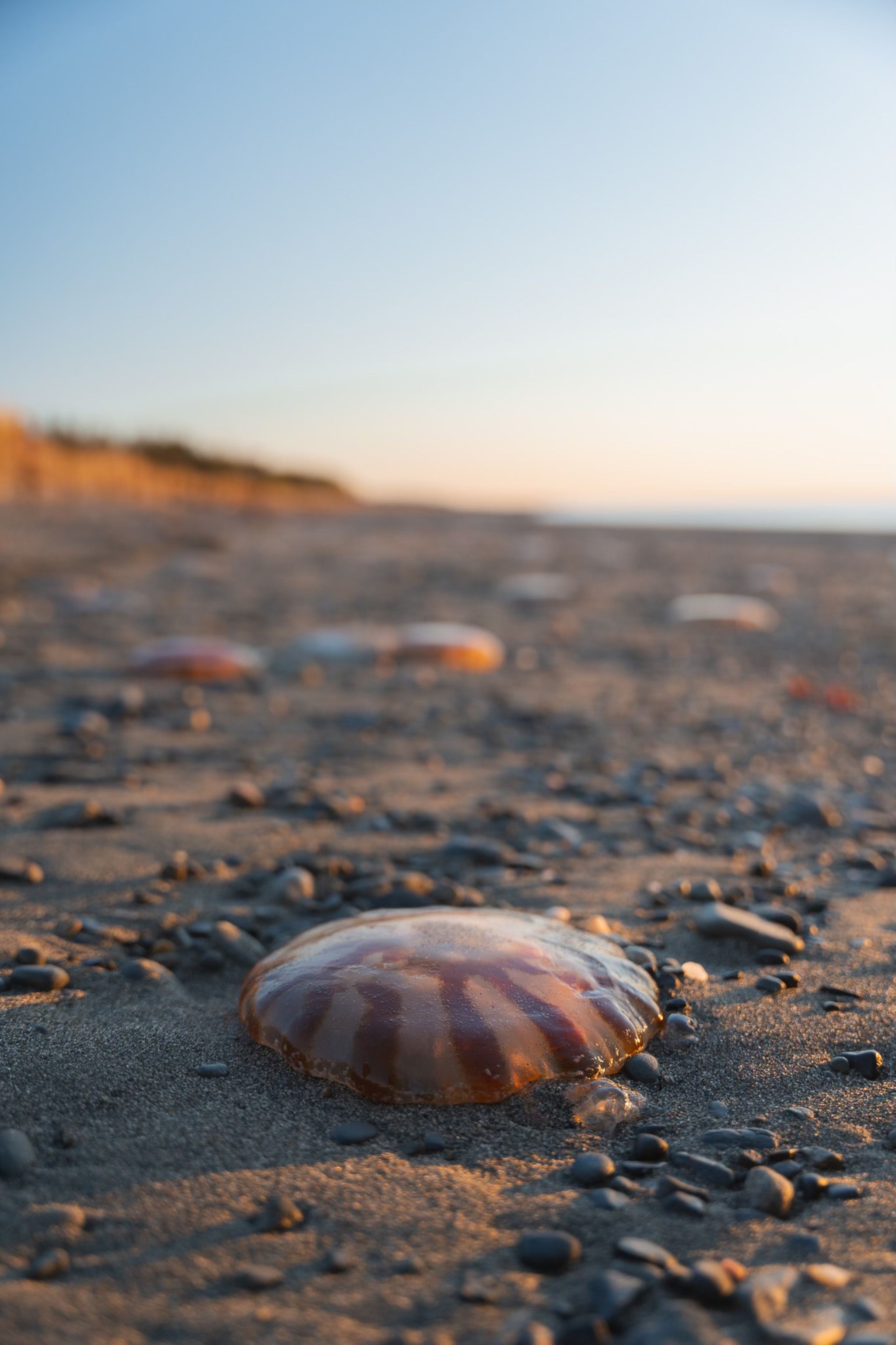 South Kenai Beach Access