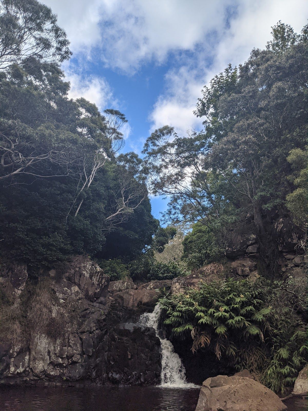 Waipo'o Falls Trail