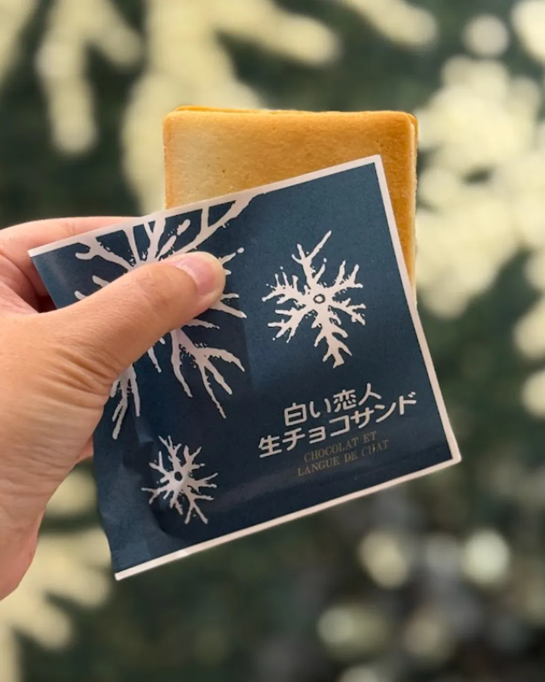 Shiroi Koibito Park - Japan - Rexby