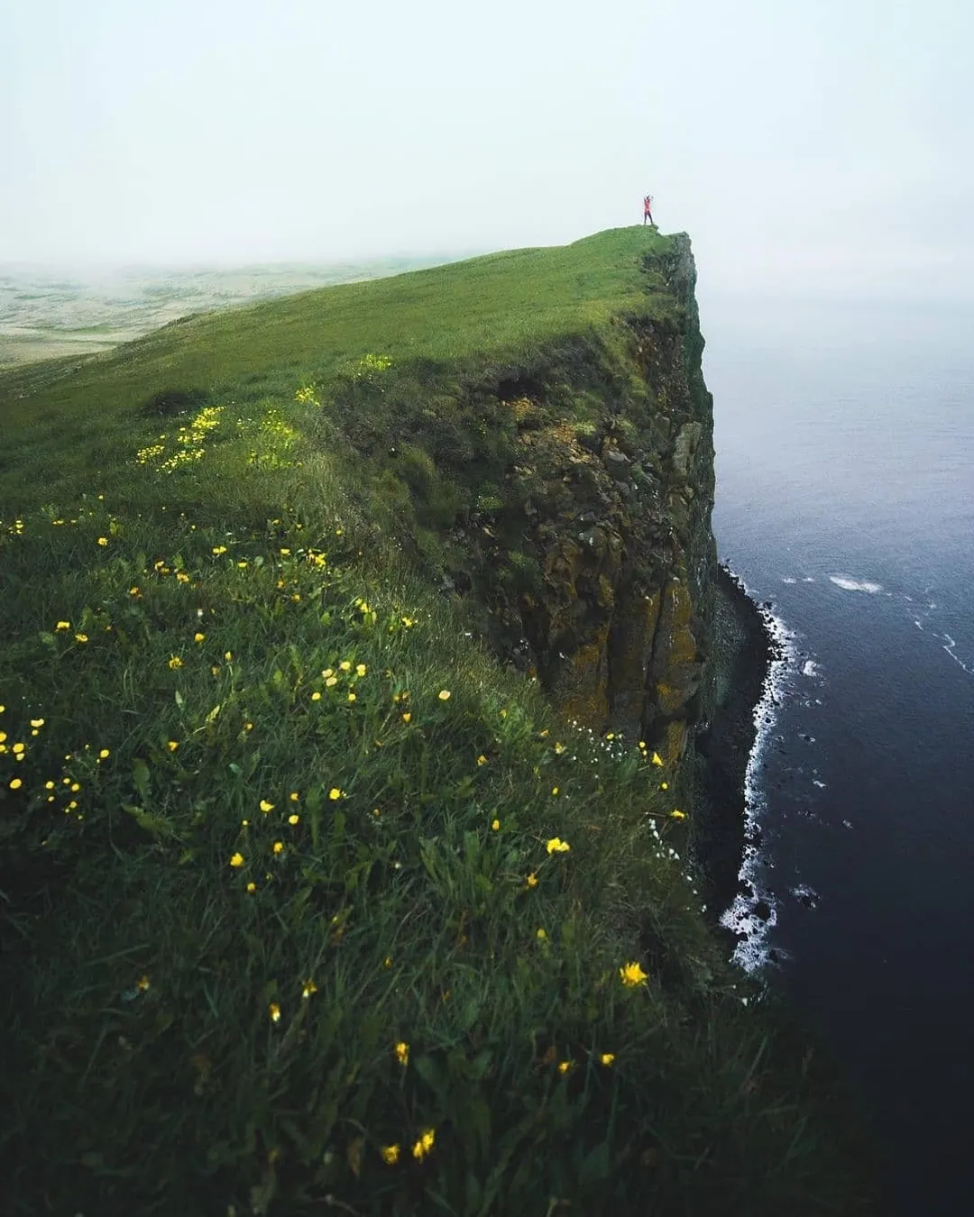 Puffin Spot: Látrabjarg