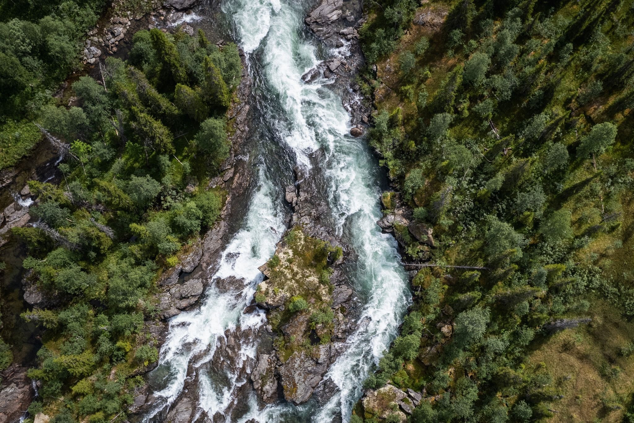Wilderness Road (Vildmarksvägen)