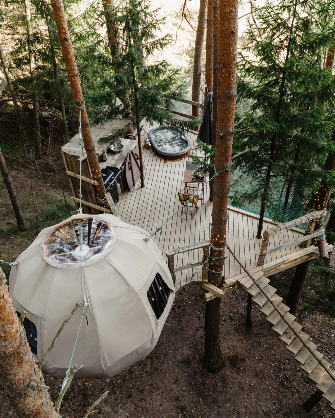 Stay in a tree house