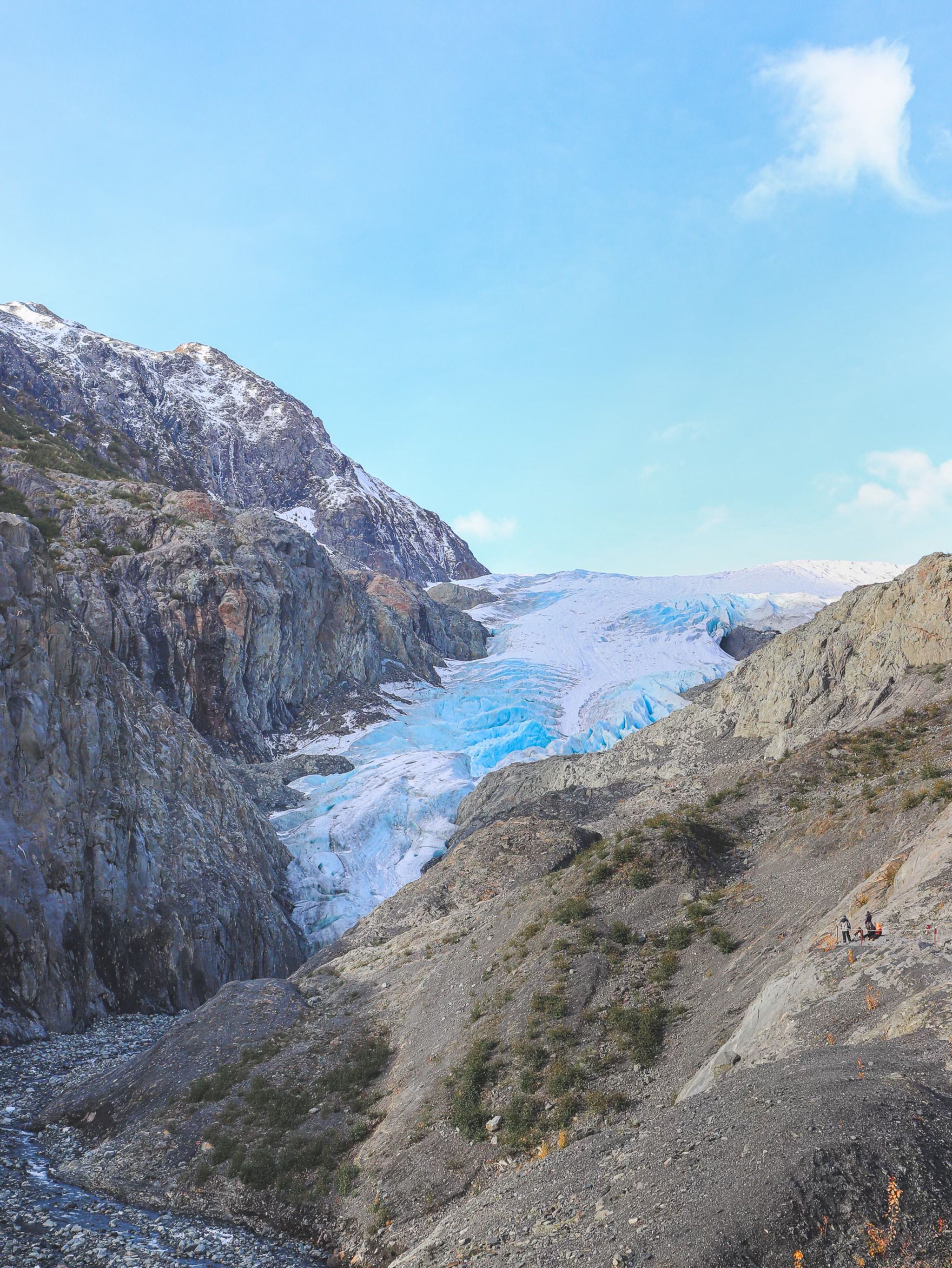 Exit Glacier