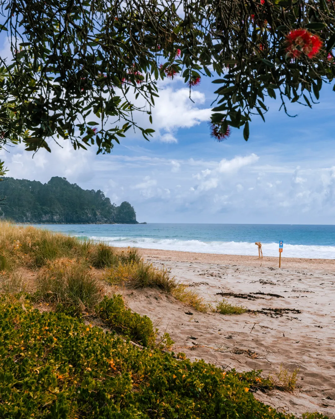 Hot Water Beach TOP 10 Holiday Park Coromandel