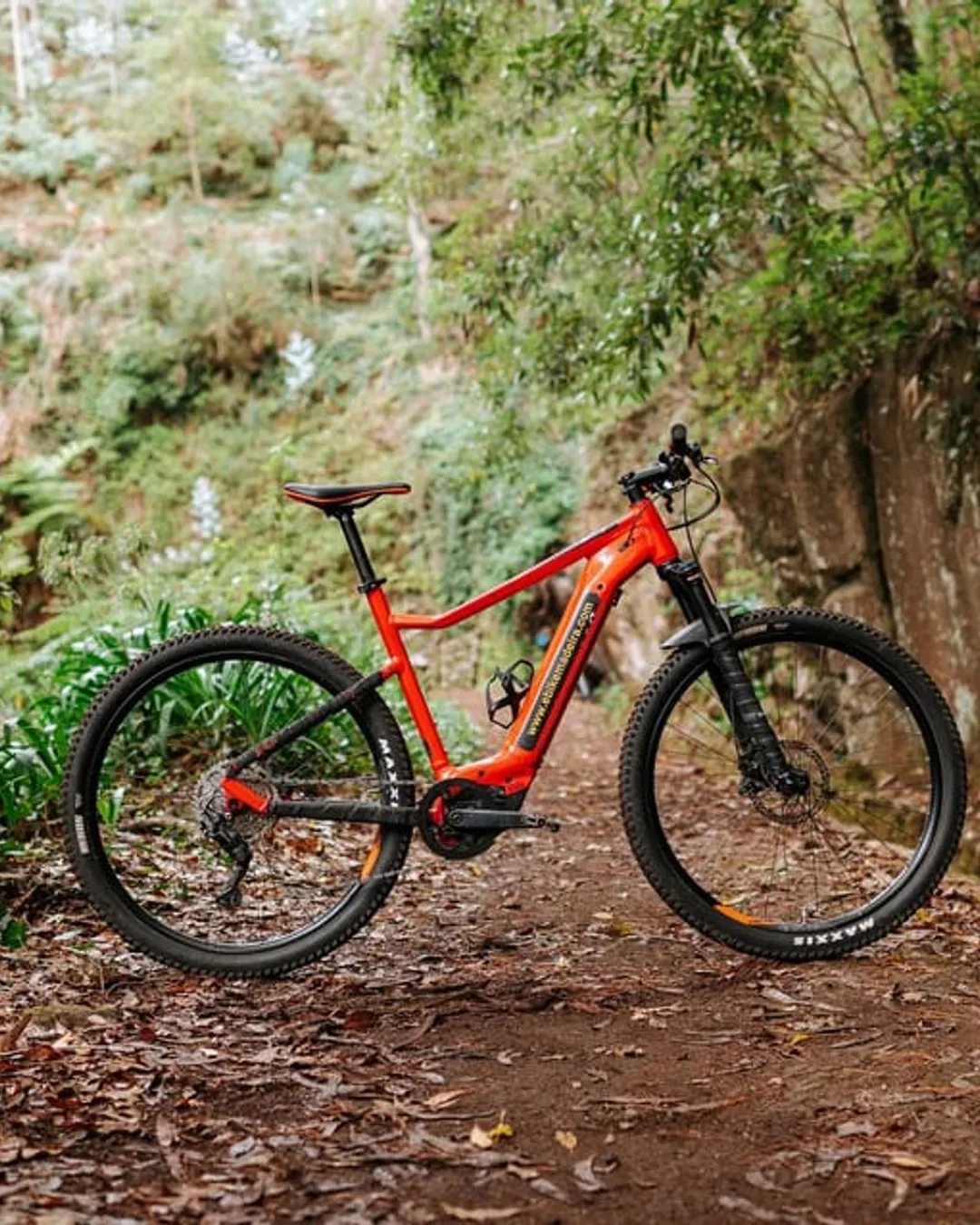 E-Bike Madeira