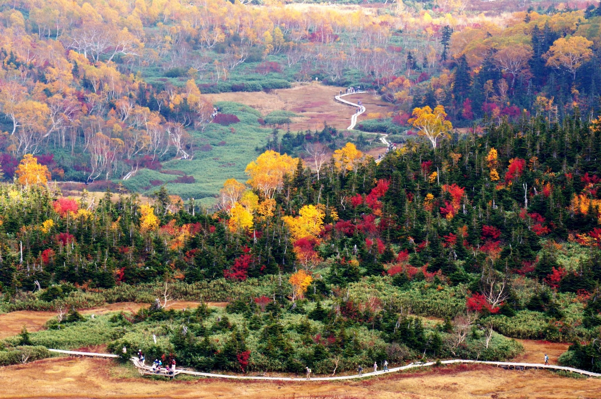 Tsugaike Nature Garden