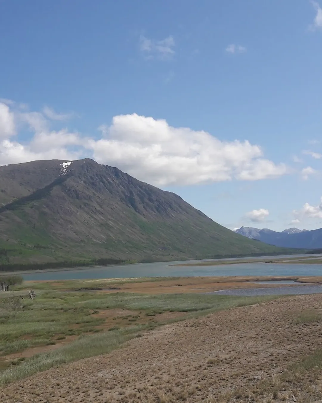 Carcross Desert