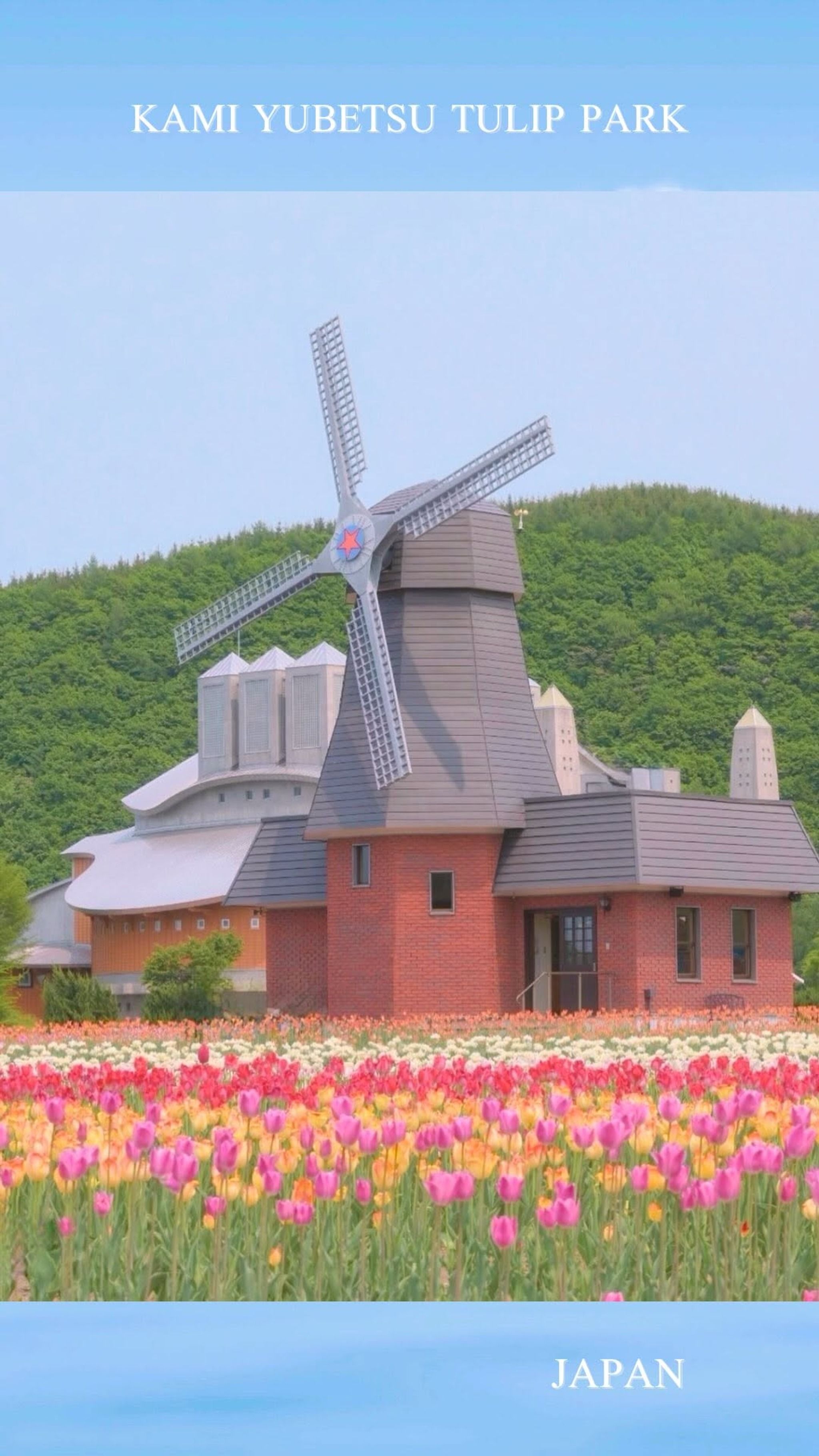Kamiyubetsu Tulip Park