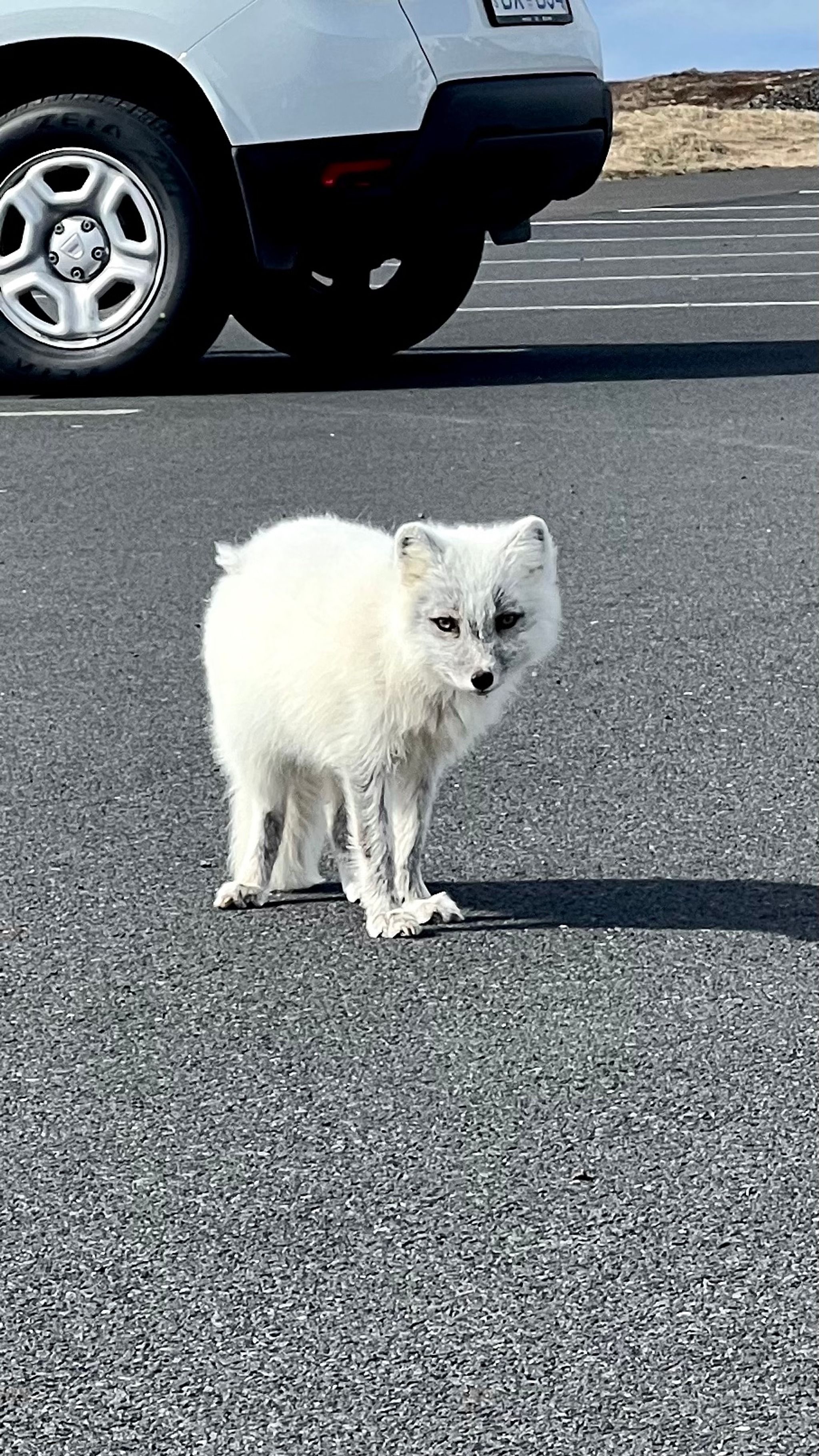 Snæfellsnes Visitor Center
