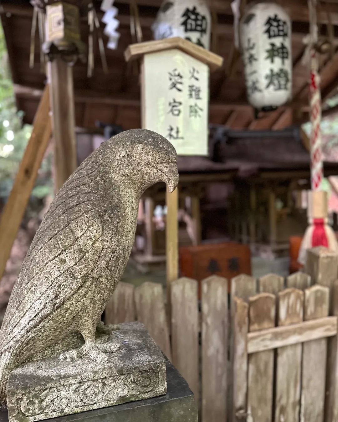 Ōtoyo Shrine - Japan - Rexby