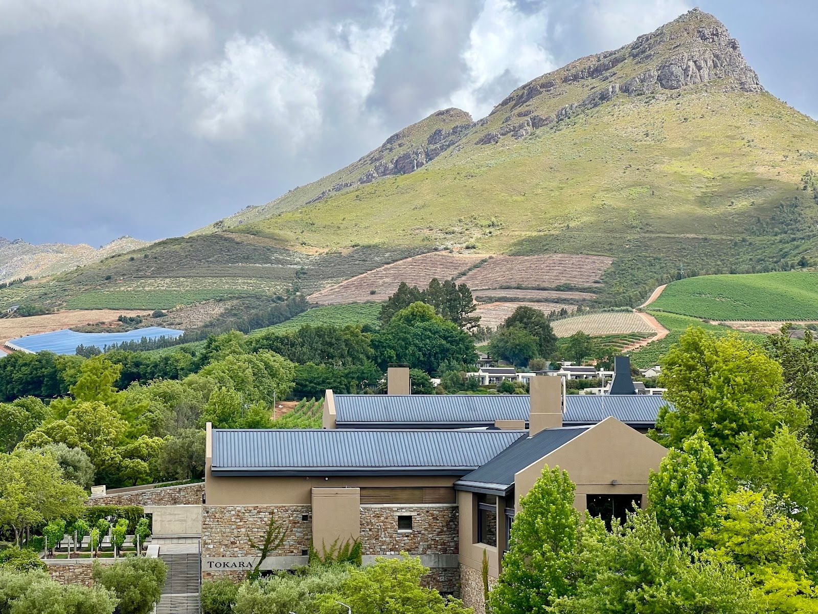Tokara Wine Estate
