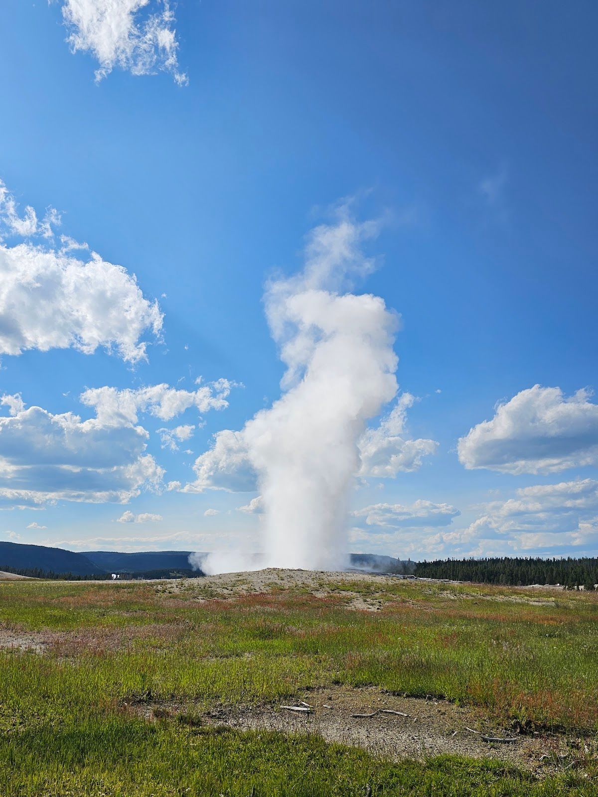 Old Faithful