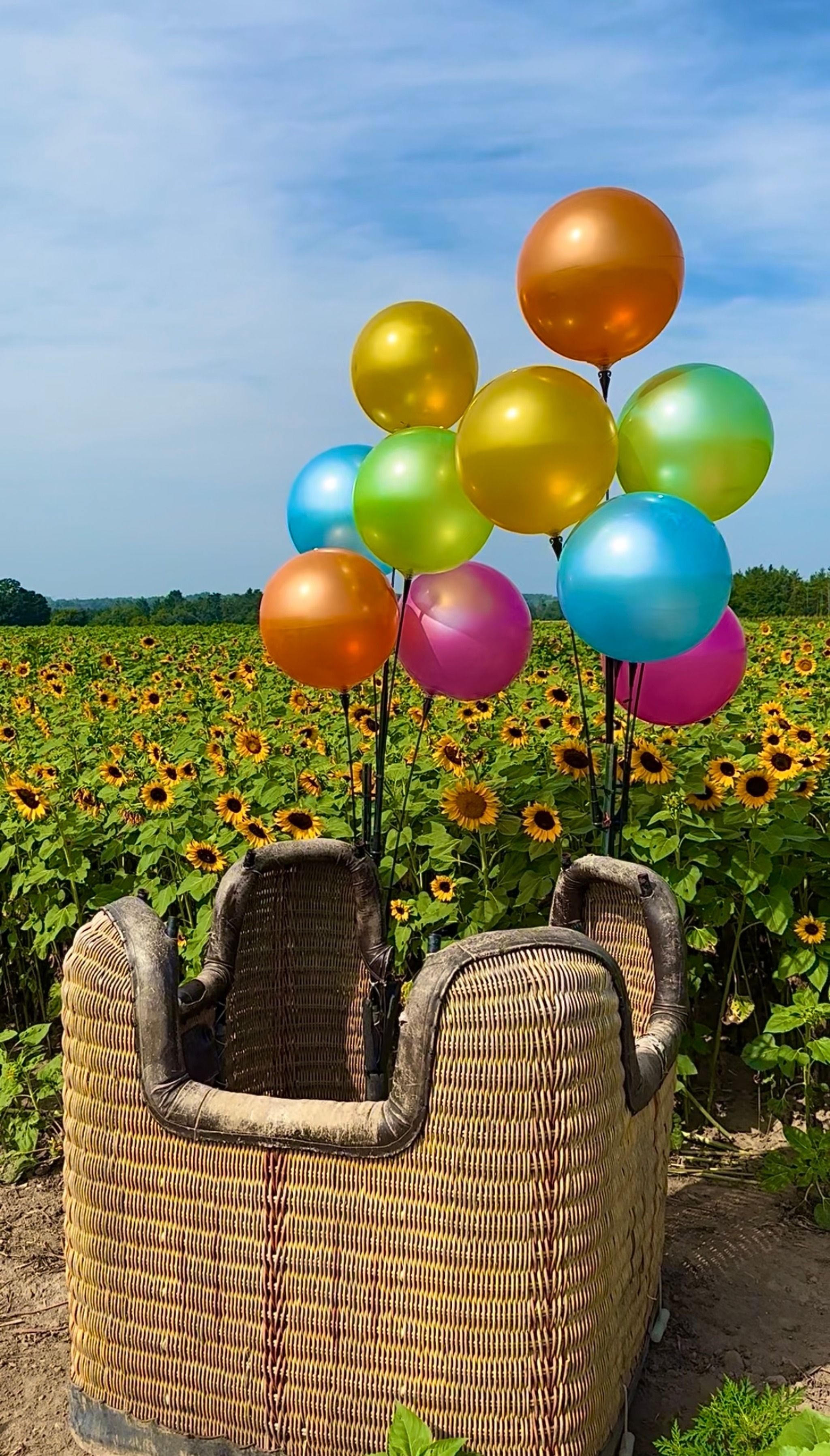 Laura’s Farm Stand