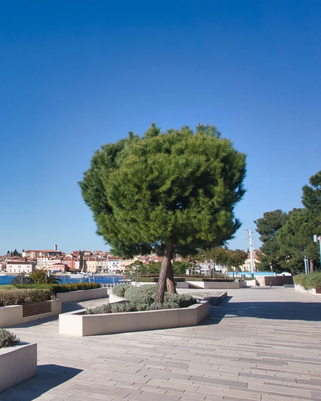 Strandpromenade Rovinj