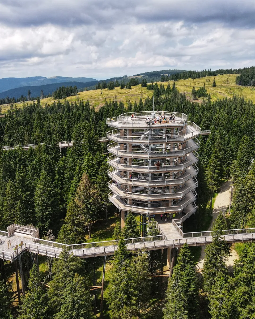 Rogla Canopy Walk