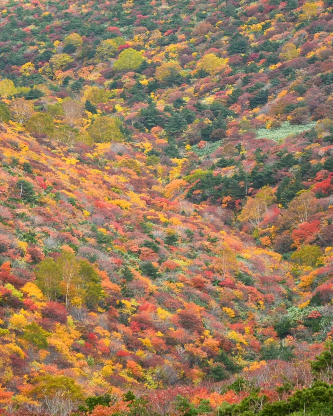 Mount Adatara Ropeway