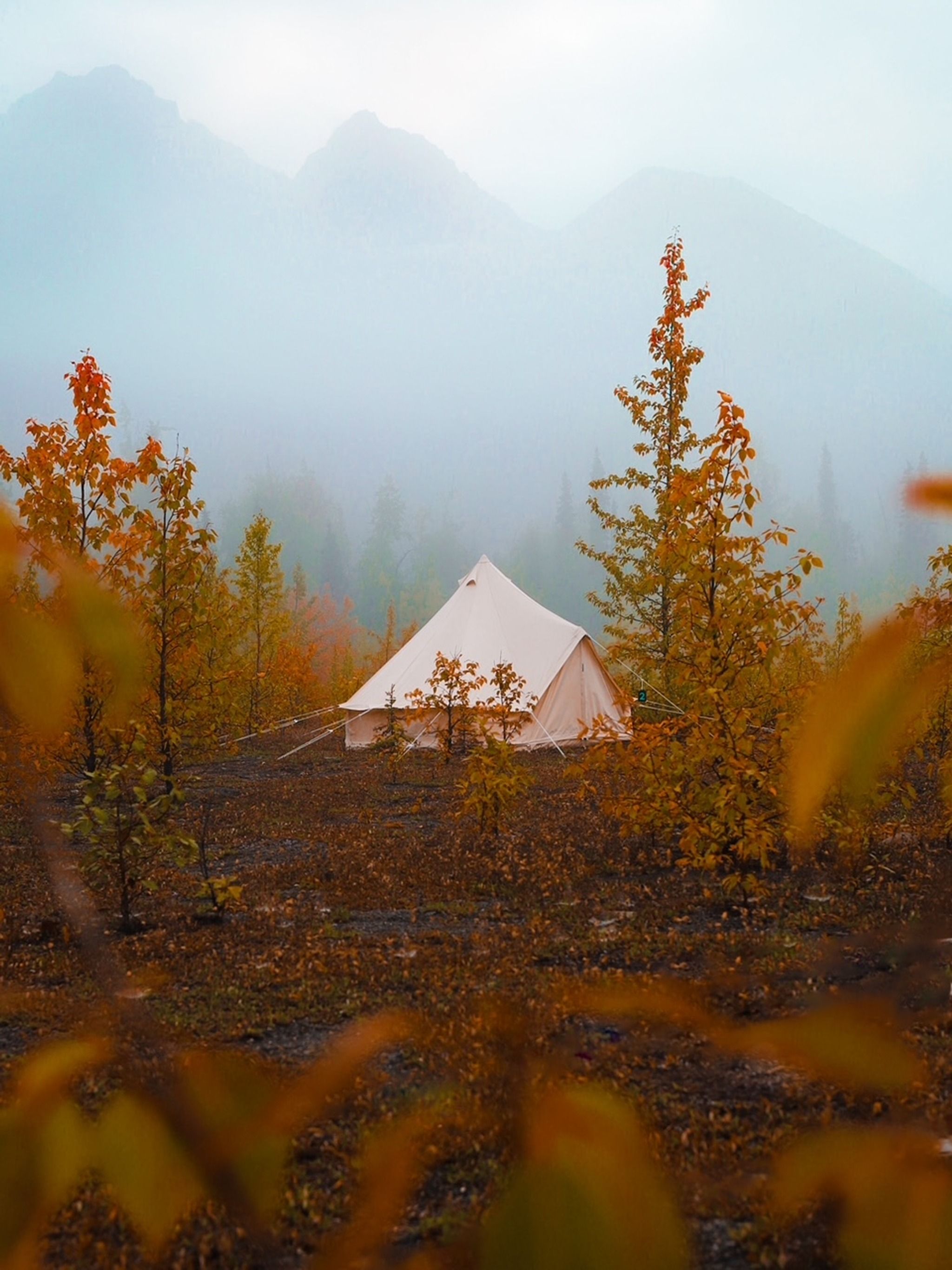 Alaskan Glamping