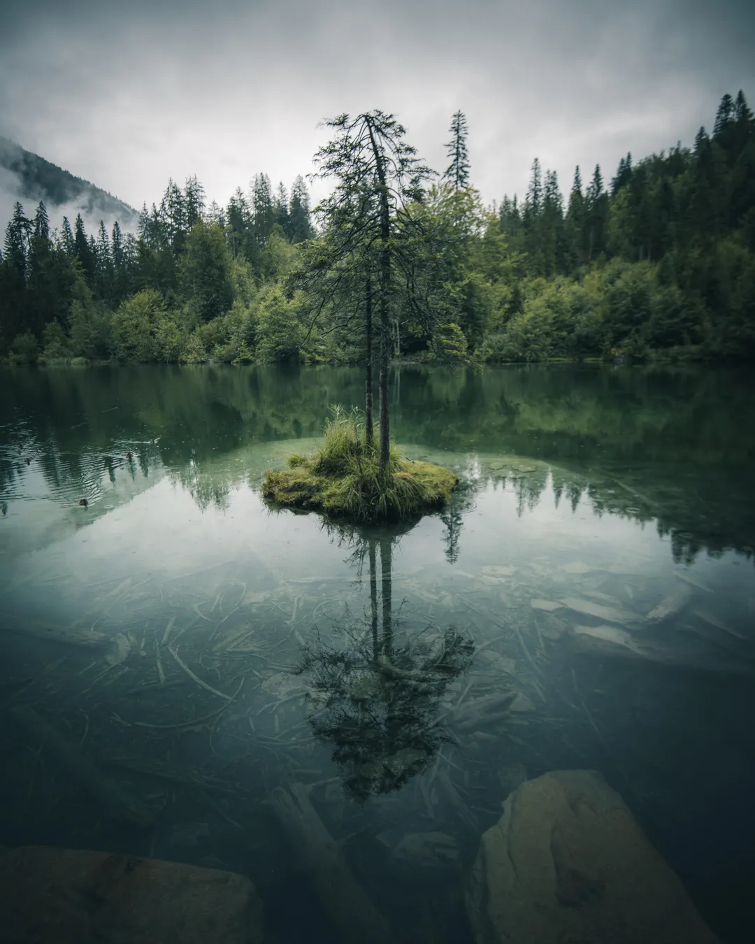 Crestasee