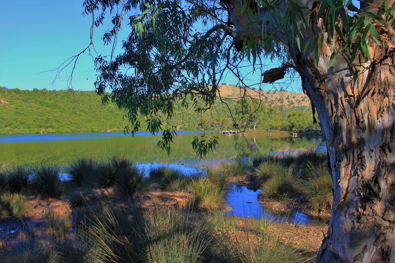 Bay of Butrint