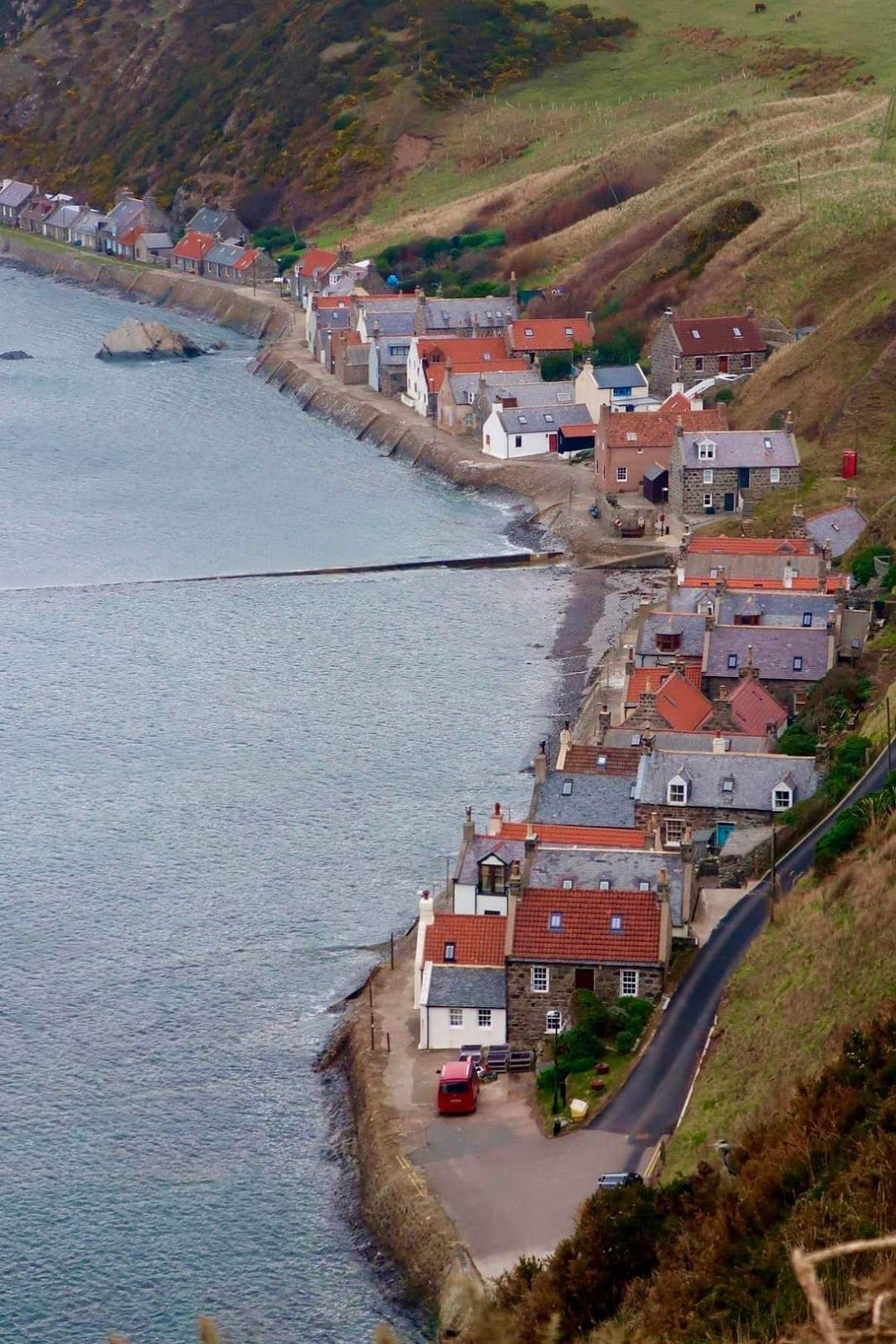 Crovie