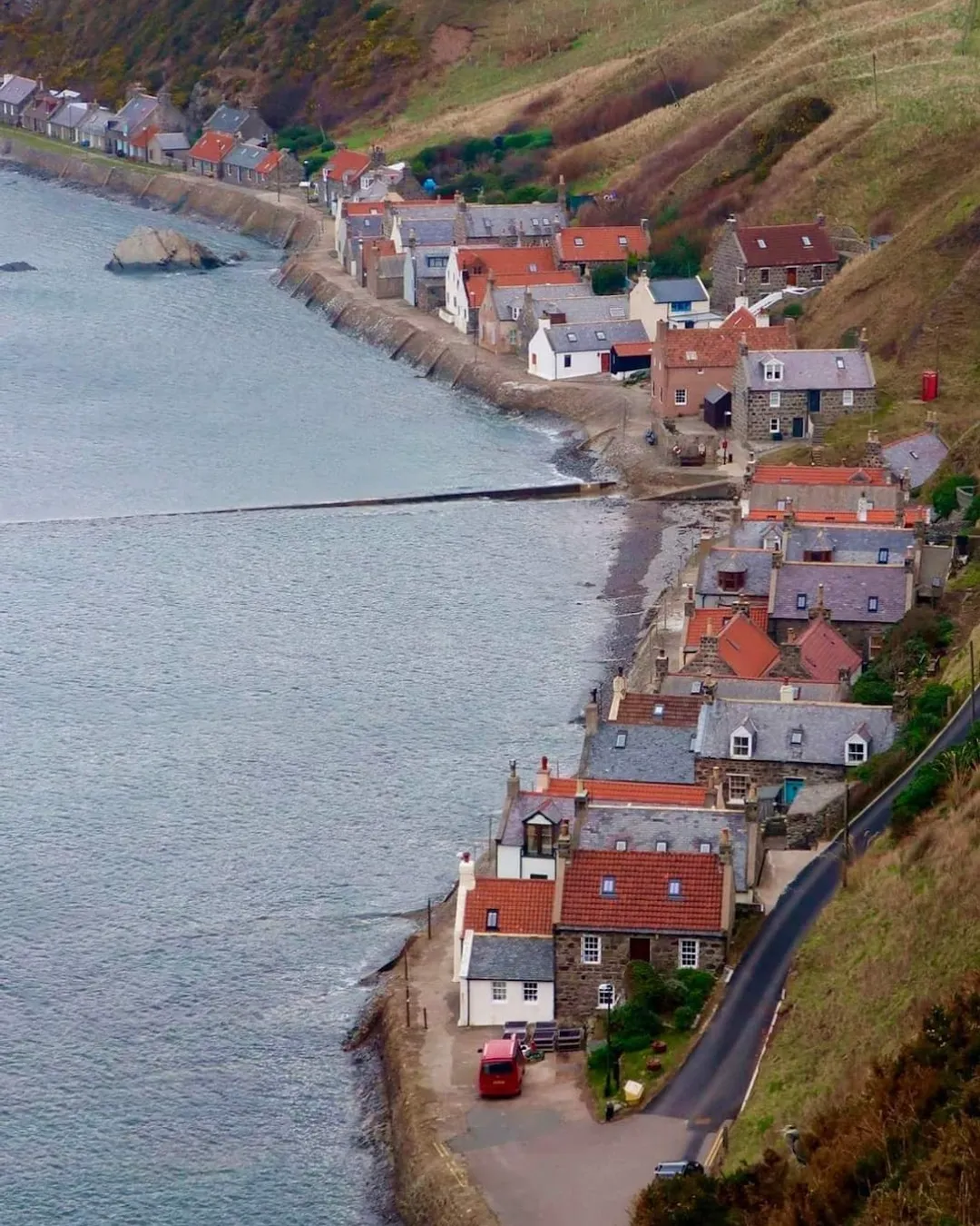 Crovie