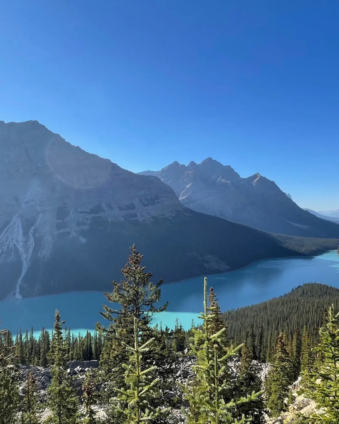 Peyto Lake