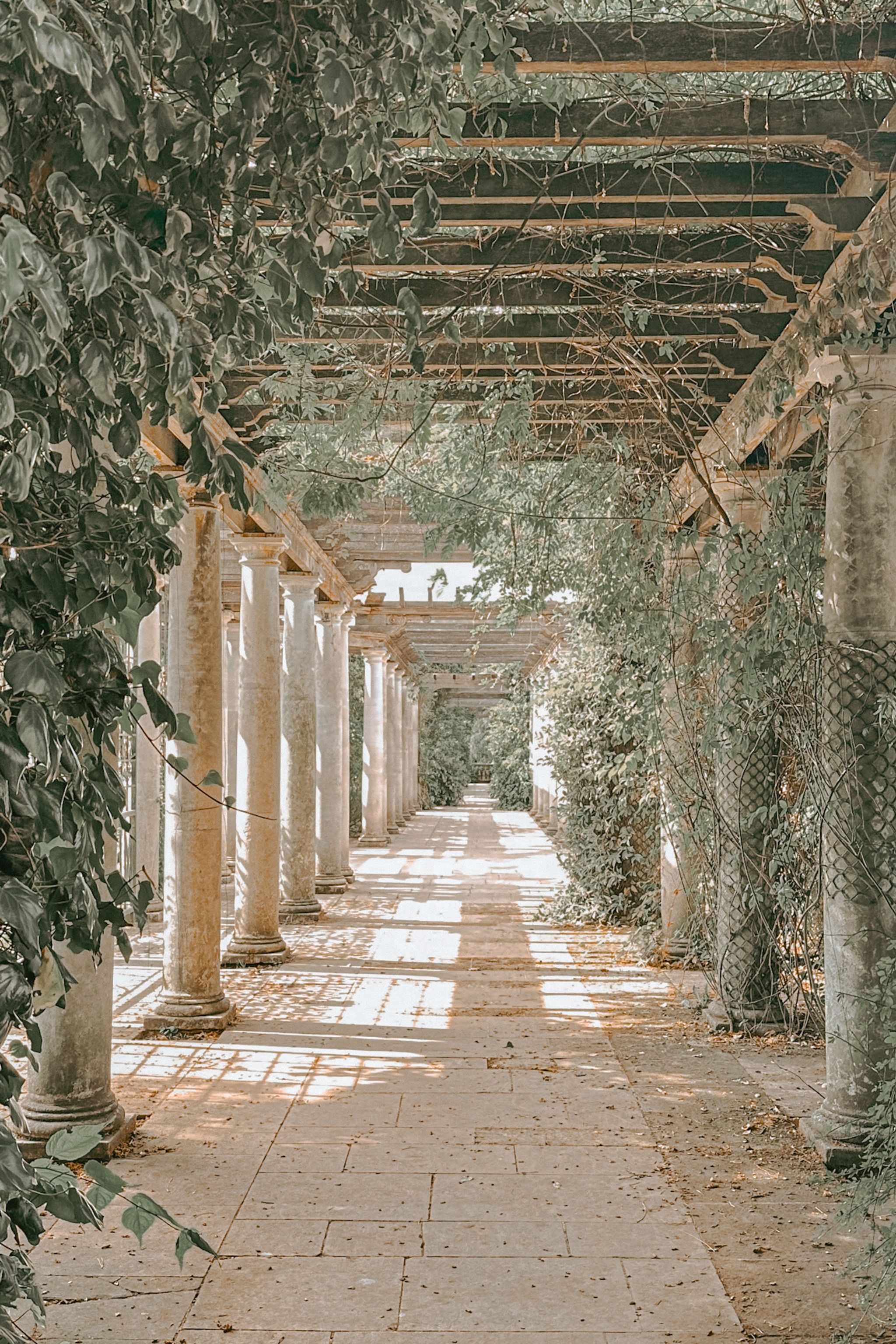 The Hill Garden and Pergola