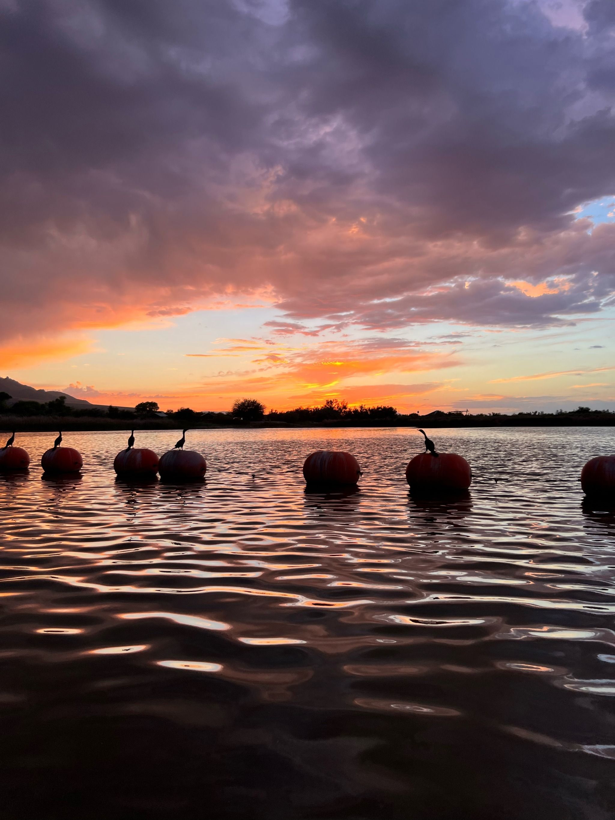 Roper Lake State Park