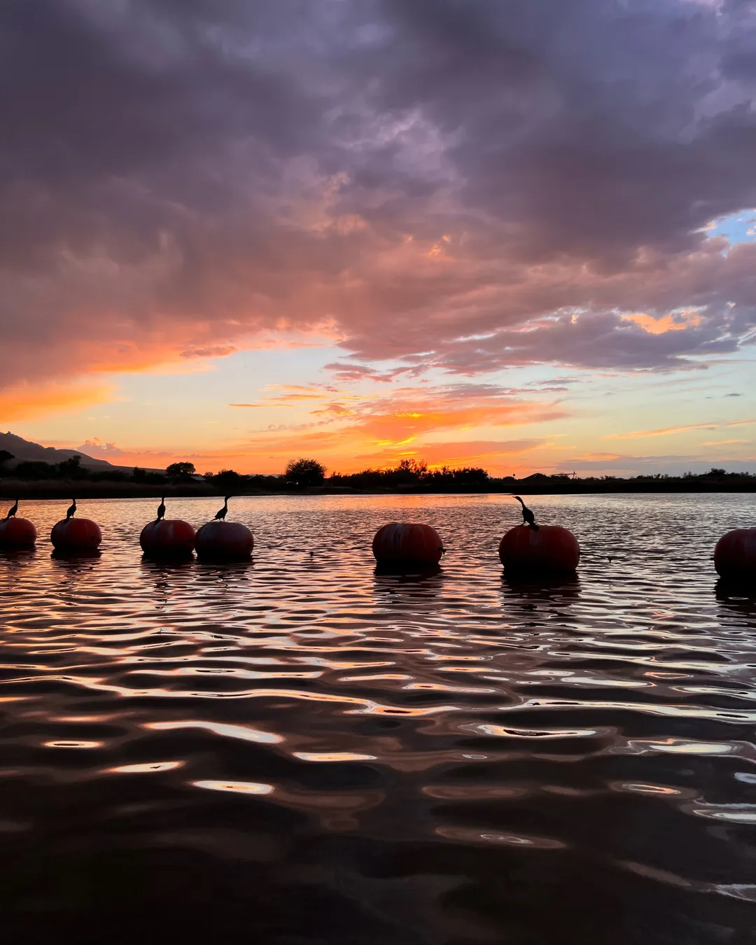 Roper Lake State Park