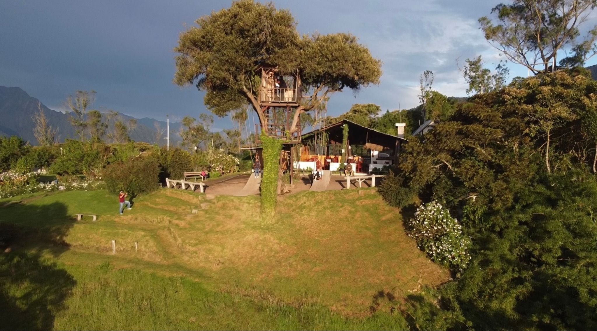 La Casa del Arbol
